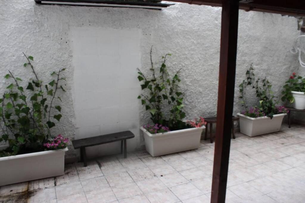 Maison Nicolai 237 باري المظهر الخارجي الصورة